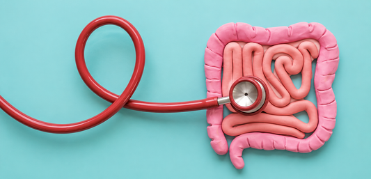What Are Probiotics Good For? Benefits for Gut Health and Digestion