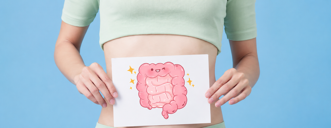 How Long Do Probiotics Take to Work? Signs to Watch and What to Expect